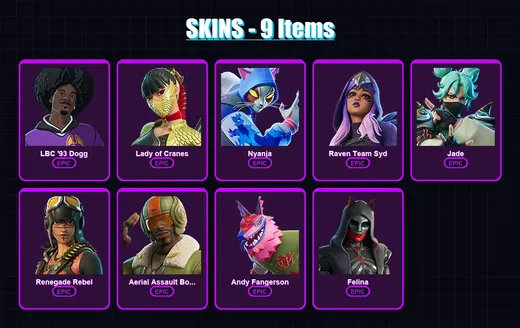 [PC/PSN] | LBC '93 Dogg | Lady of Cranes | Nyanja | Raven Team Syd | Jade | 9 skin | 39 pickaxe | 14 emote | 25 glider | Lv350 — Game account