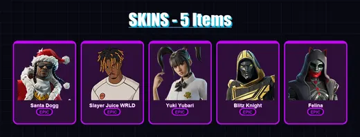[PC/XBOX/PSN] | Santa Dogg | Slayer Juice WRLD | Yuki Yubari | Blitz Knight | Felina | 5 skin | 39 pickaxe | 15 emote | 20 glider | Lv322 — Game account