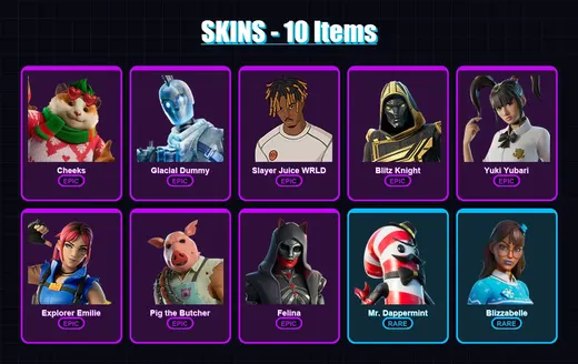 [PC/PSN] | Cheeks | Glacial Dummy | Slayer Juice WRLD | Blitz Knight | Yuki Yubari | 10 skin | 63 pickaxe | 32 emote | 47 glider | Lv694 — Game account