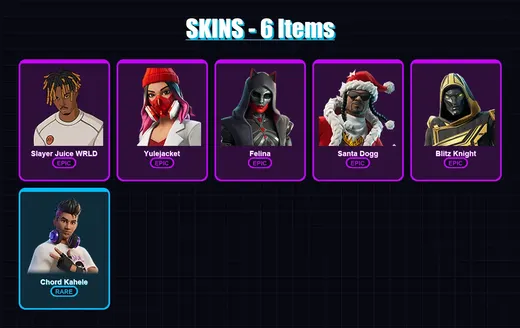 [PS4/PS5/XBOX/PC] | Slayer Juice WRLD | Yulejacket | Felina | Santa Dogg | Blitz Knight | 6 skin | 40 pickaxe | 12 emote | 22 glider | Lv264