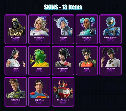 [PC] | Blitz Knight | Haylee Skye | Lightrider | Synthwave | UNSC Spartan | 13 skin | 44 pickaxe | 27 emote | 27 glider | Lv272