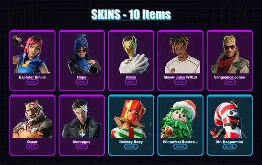 [PC/PSN] | Explorer Emilie | Hope | Nisha | Slayer Juice WRLD | Vengeance Jones | 10 skin | 11 pickaxe | 9 emote | 10 glider | Lv113