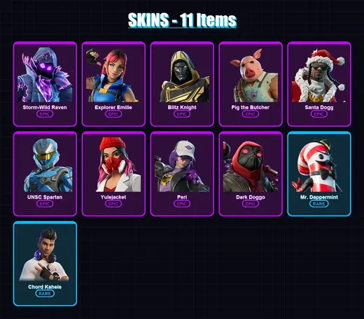 [PC/XBOX/PSN] | Storm-Wild Raven | Explorer Emilie | Blitz Knight | Pig the Butcher | Santa Dogg | 11 skin | 32 pickaxe | 11 emote | 17 glider | Lv1 — Game account
