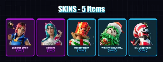 [PC/XBOX/PSN] | Explorer Emilie | Katalina | Holiday Boxy | Winterfest Bushranger | Mr. Dappermint | 5 skin | 14 pickaxe | 5 emote | 7 glider | Lv13 — Game account