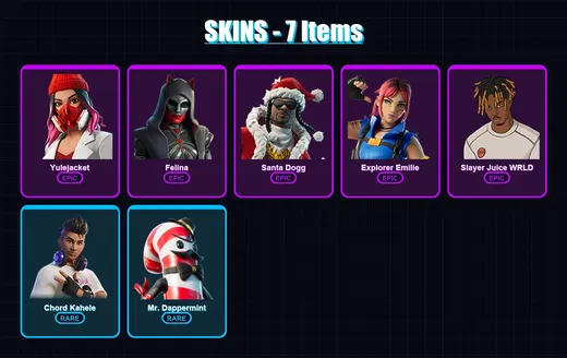 [PC/XBOX/PSN] | Yulejacket | Felina | Santa Dogg | Explorer Emilie | Slayer Juice WRLD | 7 skin | 11 pickaxe | 9 emote | 10 glider | Lv170 — Game account