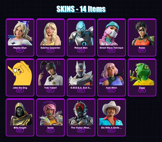 [PC/XBOX] | Haylee Skye | Sabrina Carpenter | Reboot Man | Street Wave Teknique | Robin | 14 skin | 45 pickaxe | 26 emote | 30 glider | Lv305 — Game account