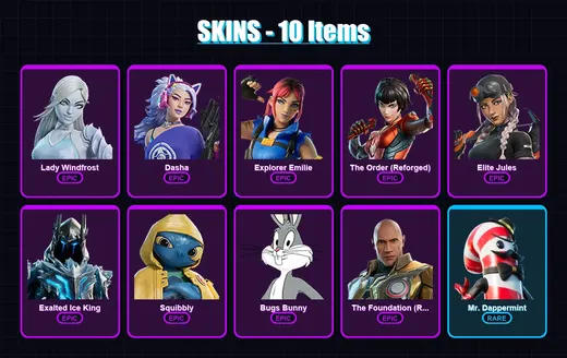 [PC/XBOX/PSN] | Lady Windfrost | Dasha | Explorer Emilie | The Order (Reforged) | Elite Jules | 10 skin | 35 pickaxe | 15 emote | 24 glider | Lv333 — Game account