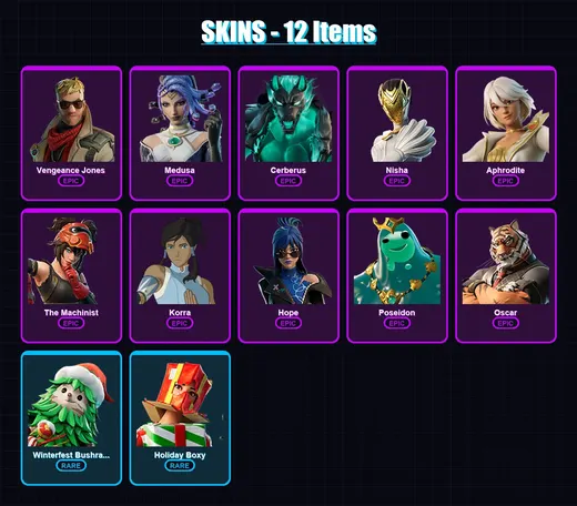 [PC/XBOX/PSN] | Vengeance Jones | Medusa | Cerberus | Nisha | Aphrodite | 12 skin | 18 pickaxe | 11 emote | 21 glider | Lv163 — Game account