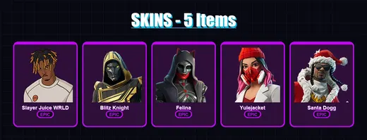 [PC/XBOX/PSN] | Slayer Juice WRLD | Blitz Knight | Felina | Yulejacket | Santa Dogg | 5 skin | 46 pickaxe | 18 emote | 28 glider | Lv401 — Game account