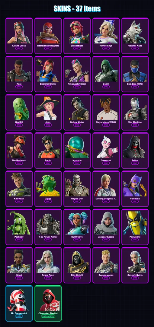 [SWITCH/XBOX/PSN/PC] | Keisha Cross | Wastelander Magneto | Brite Raider | 37 skin | Lv1391 — Game account