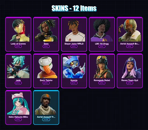 [PC/PSN] | Lady of Cranes | Dara | Slayer Juice WRLD | LBC '93 Dogg | Aerial Assault Bomber | 12 skin | 18 pickaxe | 8 emote | 13 glider | Lv53 — Game account