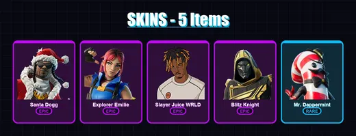 [PC/XBOX] | Santa Dogg | Explorer Emilie | Slayer Juice WRLD | Blitz Knight | Mr. Dappermint | 5 skin | 27 pickaxe | 13 emote | 21 glider | Lv206 — Game account