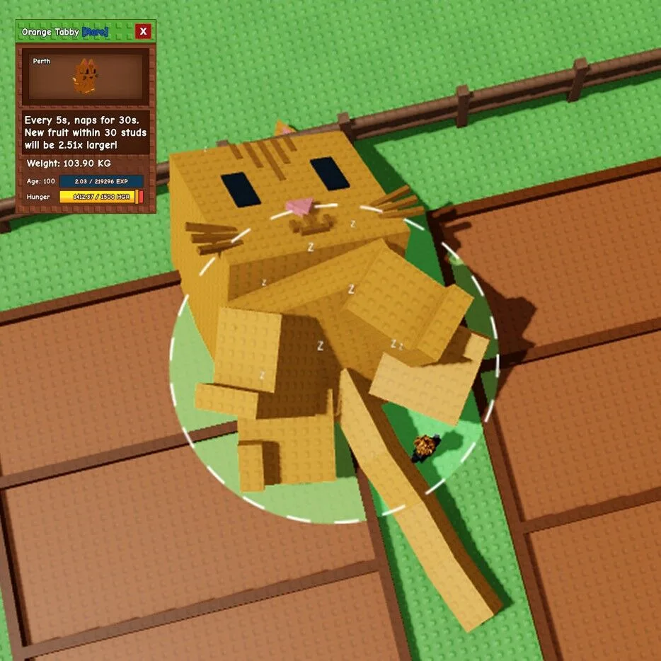 Orange Tabby 100Kg+