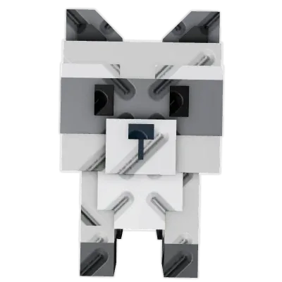 Raccoon (Super) — Account account