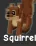 Squirrel (Legendary)