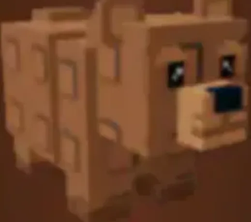 1x Bear (Legendary)