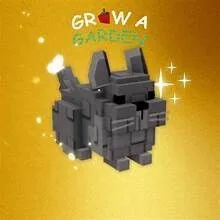READY HUGE CHINCILLA 60/61 KG Grow A Garden