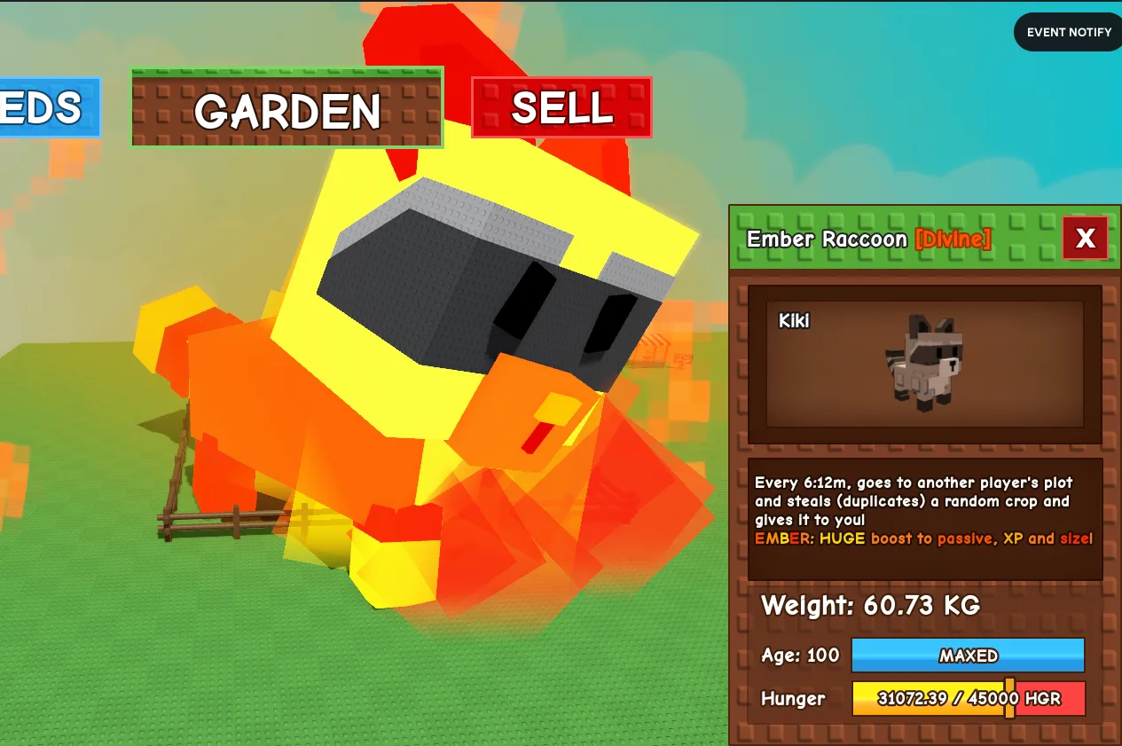 60.62kg+ Ember Raccoon