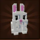 Bunny (Common)