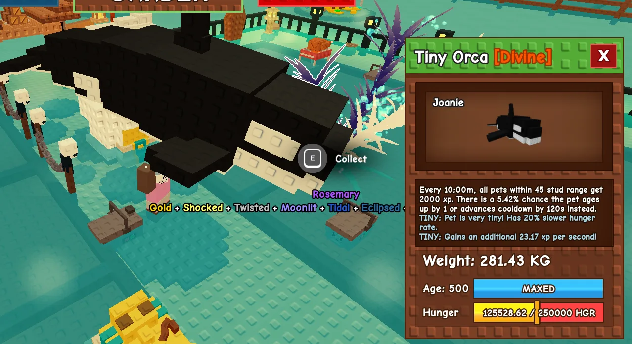 280KG+ Tiny Orca Divine // super handsome // Age 500 MAXED // 2000 XP Aura // Huge Flex Pet//fennec fox//i run out of tag others limitation