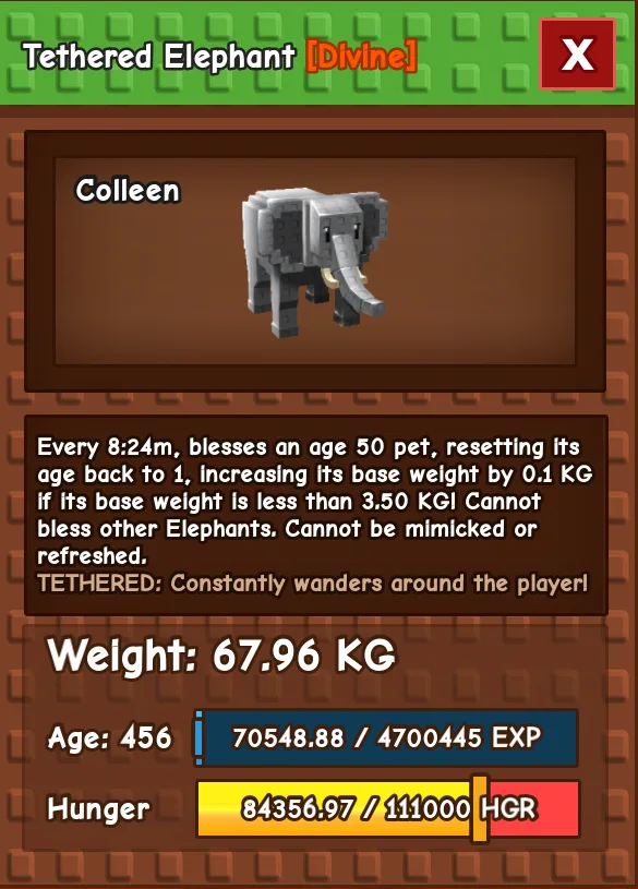 Tethered Elephant Divine 67KG 400-456 AGE