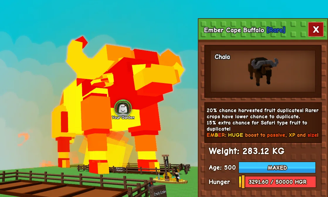 281.58kg+ Ember Cape Buffalo