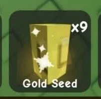 Gold Seed — Account account