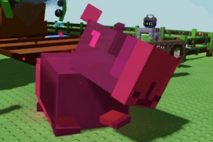 CAPYBARA