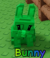 Bunny — Account account