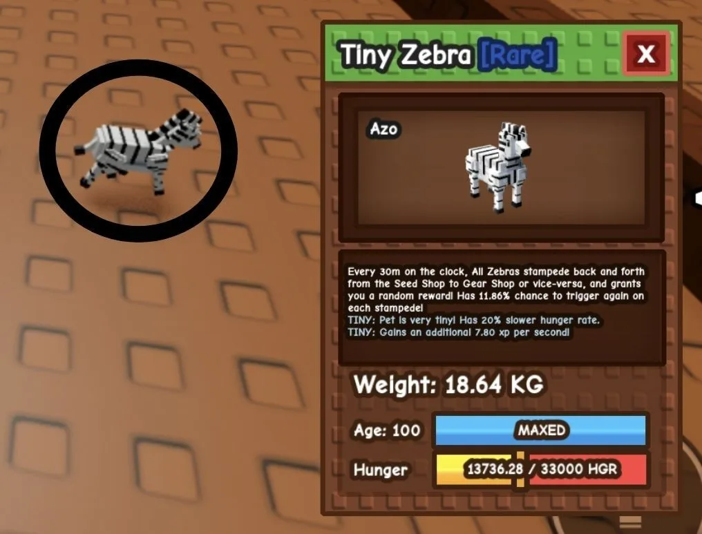 TINY Zebra - 18.64 KG (Age 100)