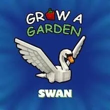 READY HUGE SWAN 60/61 KG Grow A Garden