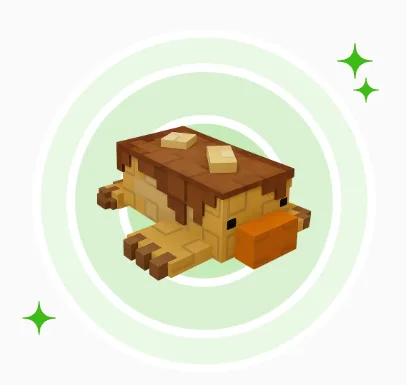 pancake mole — Account account