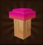 Maple Mushroom Seed