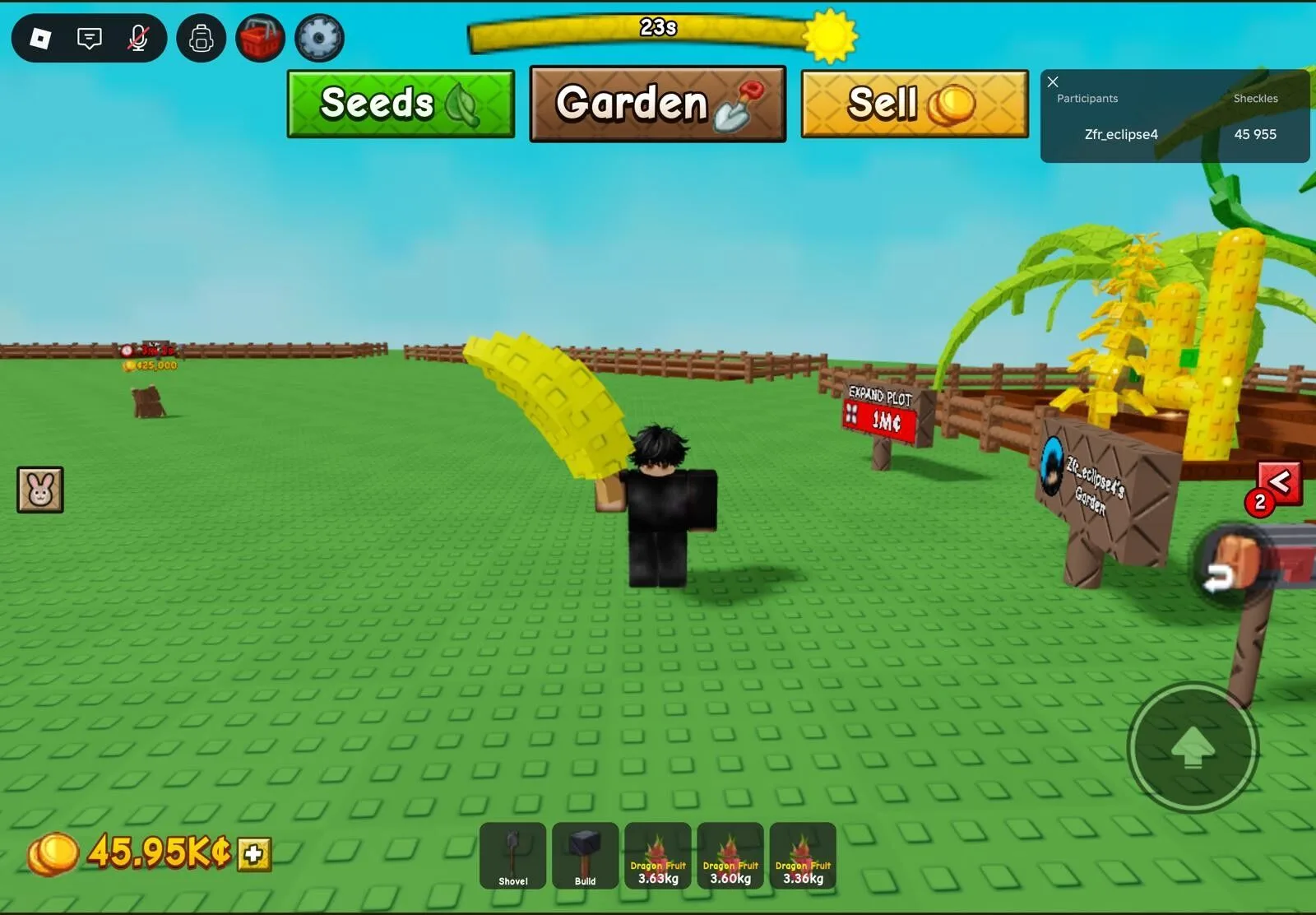 Banana fruit — Account account