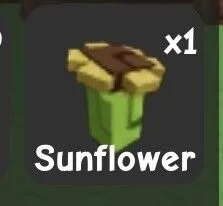 Sunflower Seed — Account account