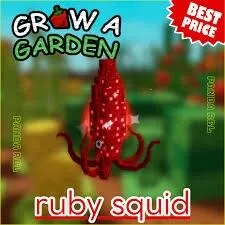 Ruby Squid