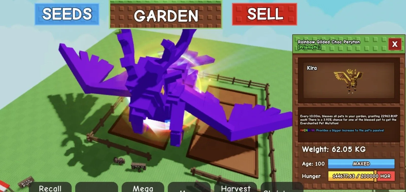 HUGE RAINBOW MUTATION GILDED PERYTON 60 TO 61 KG NEW PET EASTER — Account account