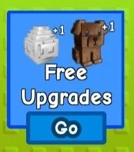 Age 75 Pet (random) for slot upgrades
