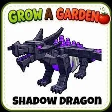Shadow Dragon (Super)