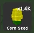 Corn Seed
