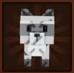 Raccoon (Super) — Account account