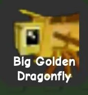 Golden Dragonfly — Account account