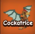 Cockatrice 3X — Account account