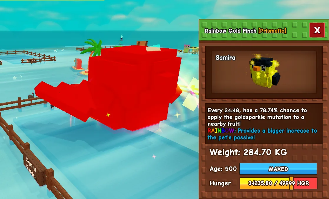 284.7kg Rainbow Gold Finch