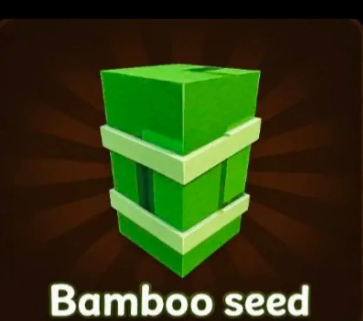 Bamboo Seed