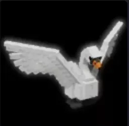 Swan