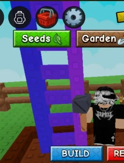 Rainbow Ladder