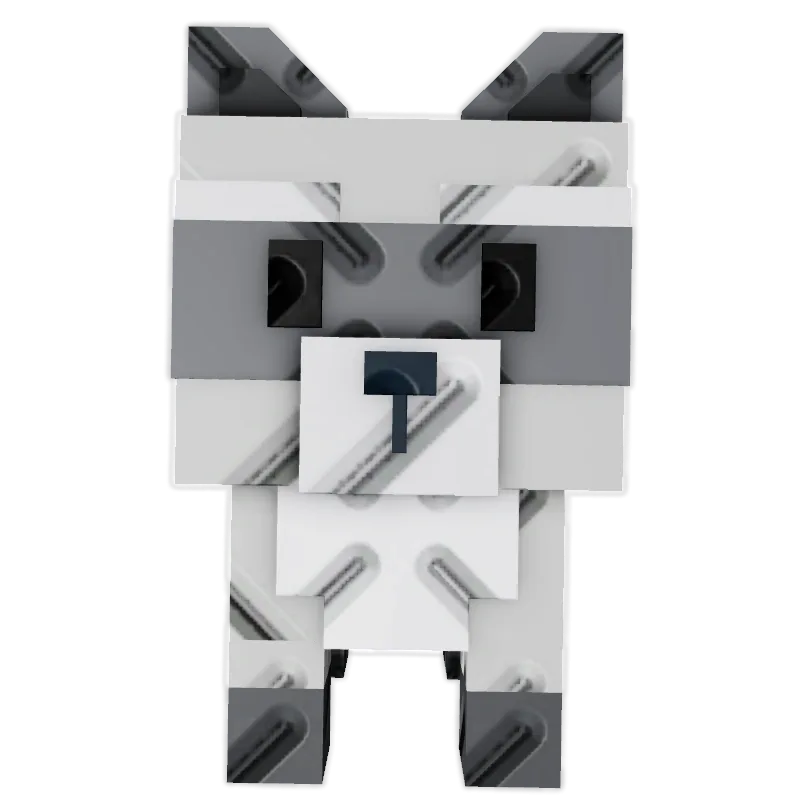 Raccoon