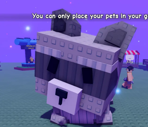 MEGA RACCOON HUGE 100 GURANTED PET