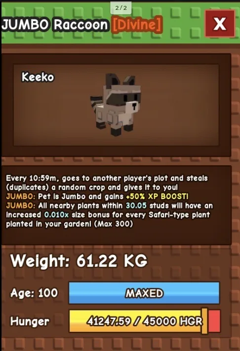 HUGE JUMBO RACCOON 60KG - 61KG — Account account